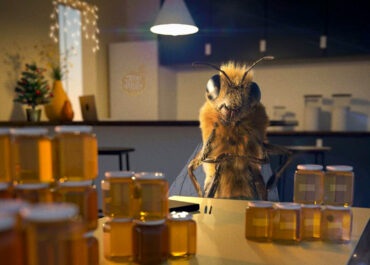 Как дегустировать мёд?
